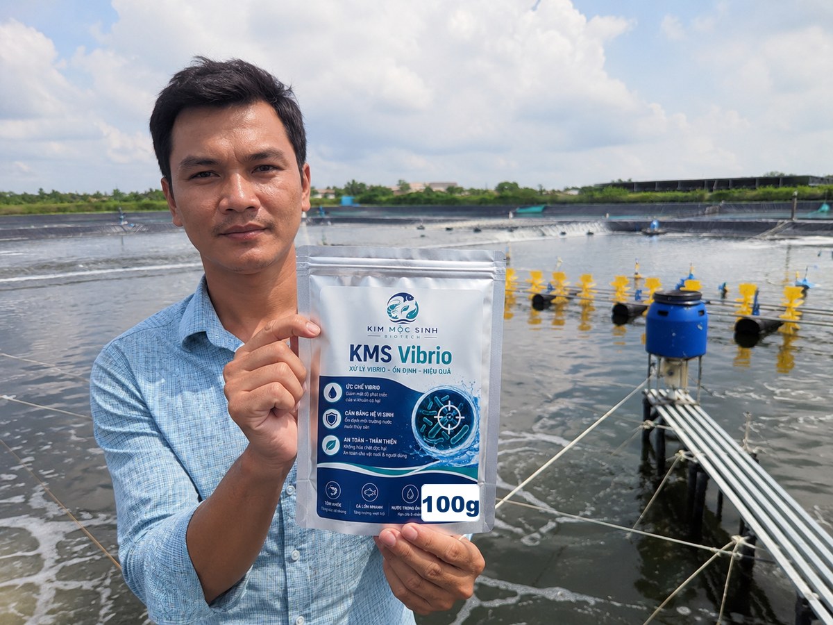 Khách hàng cầm KMS Vibrio tại ao nuôi