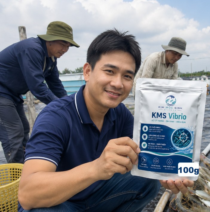 Feedback khách hàng sử dụng KMS Vibrio